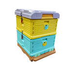 Cadres thermo en plastique de la ruche 10 de catégorie comestible avec le piège de pollen deux couches de ruche d'abeille