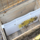 Équipement 49*43.8*22.3cm Honey Bee Feeder Multi Function de ruche d'abeille de catégorie comestible