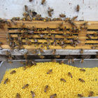 Pollen pur cru naturel d'abeille de Honey Bee Pollen Fresh Organic