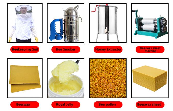 Cage en plastique jaune en gros de reine des abeilles d'élevage de cage de reine de l'apiculture pour l'apiculture 5