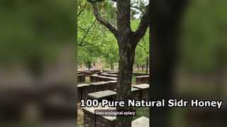 Miel Sidr pur 100 pour cent naturel en gros