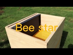 Kit de ruche Langstroth non assemblée en bois pour apiculture