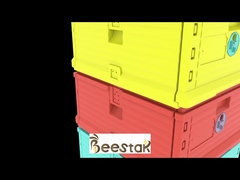 Ruche en plastique alimentaire thermo pour abeilles 10 cadres avec piège à pollen, deux couches