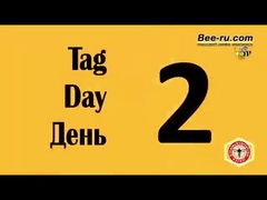 Plastic Queen Rearing System Queen Breeding Tool Kit Beekeeping Tools For Queen Bee