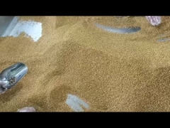 Produits de pollen d'abeille