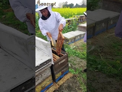 Vente en gros de miel d'abeille 100% naturel de haute qualité, miel d'herbe traditionnel biologique brut pur