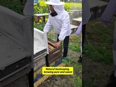 Vente en gros de haute qualité 100% naturel Puri miel de forêt de brousse sans additifs