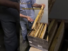 250 g de miel de Manuka MGO 100+certifié 100% de miel de Manuka pur néo-zélandais