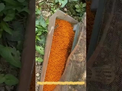 miel d'abeille naturel