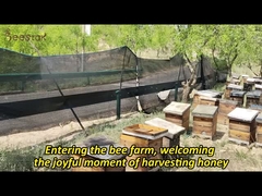 Vente en gros de miel d'abeille 100% naturel de haute qualité, miel d'herbe traditionnel biologique brut pur