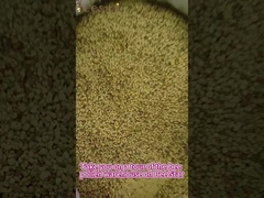 Aliments naturels Pollen frais et mélangé Pollen d'abeille cru Faible teneur en matières grasses pour les humains ou les abeilles