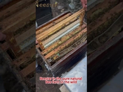 Miel naturel doux pur brut à fleurs multiples Miel d'abeille naturel Miel biologique à fleurs multiples