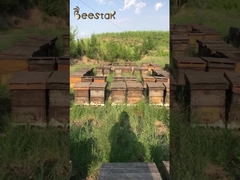 10,4% 1,6% 10-HDA Natrual Produits d' abeilles de la gelée royale fraîche