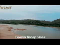 250 g de miel de Manuka MGO 100+certifié 100% de miel de Manuka pur néo-zélandais