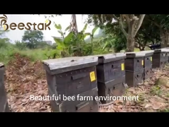 Fabrique en gros 100% miel de cidre biologique HALAL Miel de Yémen frais et mûr sans additifs