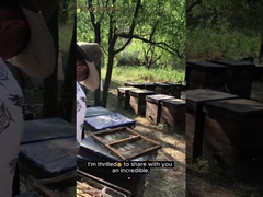 Vente en gros de haute qualité 100% naturel Puri miel de forêt de brousse sans additifs