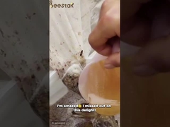 Pollen d'abeille cru