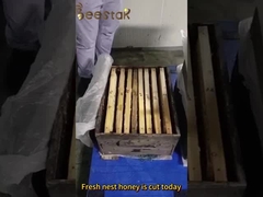 Pollen d'abeille à gros grains de viol Miel Pollen d'abeille cru pour les humains et les abeilles