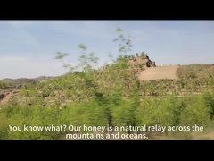 Miel de Manuka UMF10+(250g) miel d'abeille naturel du miel brut pur néo-zélandais