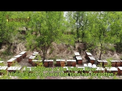 Beestar miel de cidre naturel frais sans aucun additif miel d'abeille naturel miel brut pour les soins de santé