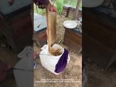 Miel de Manuka UMF10+(250g) miel d'abeille naturel du miel brut pur néo-zélandais