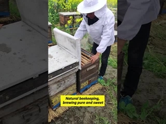 La promesse du 100% naturel se cache dans la rigueur de chaque chargement de conteneur.