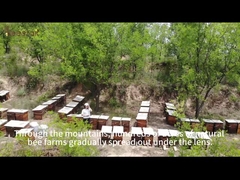 toujours respecter le principe du 