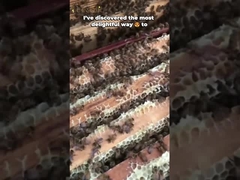 Miel d'abeille naturel pur, résidus libres, miel à fleurs multiples, 100% de miel brut pur