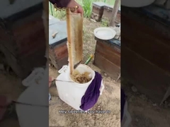 Miel biologique naturel pur à 100% Sans aucun additif