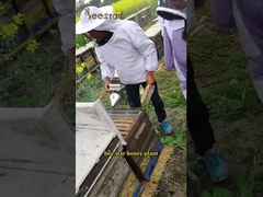 Miel de Sidr biologique naturel avec un arôme et une couleur distinctifs