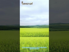 Gelée royale de reine des abeilles 1000mg de haute qualité 10-HDA Fresh Healthy Care pour les soins de santé