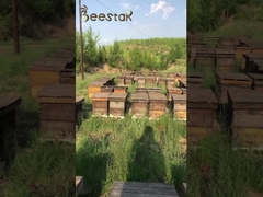 Miel pur et naturel, sans aucun additif, concentré à basse température