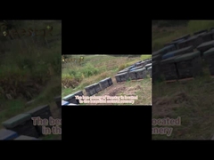 Granules de pollen d'abeille naturel à fleurs multiples 25 kg en vrac