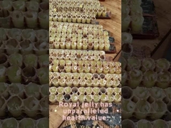 10-HDA Gelée royale fraîche biologique Gelée royale pure pour les soins de santé