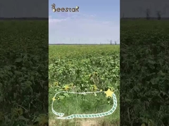 Poudre mélangée pure de pollen d'abeille de 100%