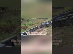 Granules de pollen d'abeille multi-fleurs naturels - Qualité alimentaire en vrac