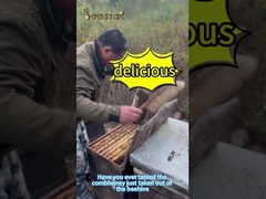 500 g de miel de peigne naturel à fleurs multiples jaune clair de qualité alimentaire