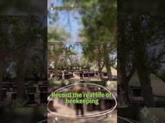 Beestar Miel naturel frais sans aucun additif Miel d'abeille naturel Miel brut pour les soins de santé