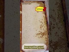 Le miel en rayon naturel est non seulement délicieux, mais aussi riche en divers nutriments.