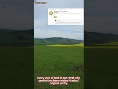 Beestar Organic Fresh Royal Jelly pour la santé humaine, très apprécié