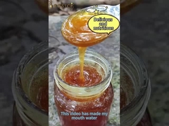 500g Miel en rayon naturel Multi-fleurs Jaune clair Qualité alimentaire, Délicieux et sain