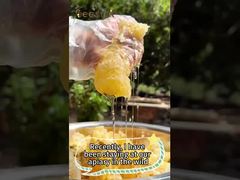 Miel 100% Naturel Miel Brut Pur Aliment Sain Miel d'Abeille Naturel pour la Vente en Gros