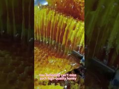 Miel cru Miel d'abeille naturel Miel d'abeille naturel Soins quotidiens des abeilles naturelles