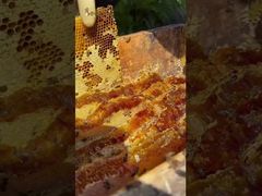 Vous êtes-vous déjà demandé à quoi ressemble vraiment la douceur la plus exquise et la plus intacte du monde?