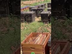 Merci aux abeilles qui produisent le miel le plus pur pour nous.