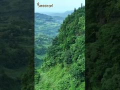 Nous vous invitons à visiter notre élevage d'abeilles situé au fond des montagnes et à vous rapprocher de la nature