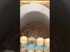 Savez-vous comment la gelée royale est collectée?