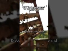 La gelée royale naturelle à haute teneur en 10-HDA, biologique, fraîche et pure, pour les soins de santé