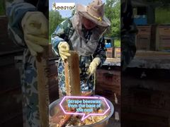 Cire d'abeille naturelle pure, un incontournable pour toute personne soucieuse de l'environnement