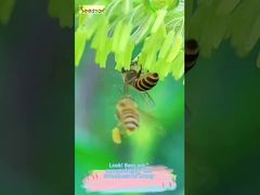 Regardez cette texture fluide. C'est vraiment la 